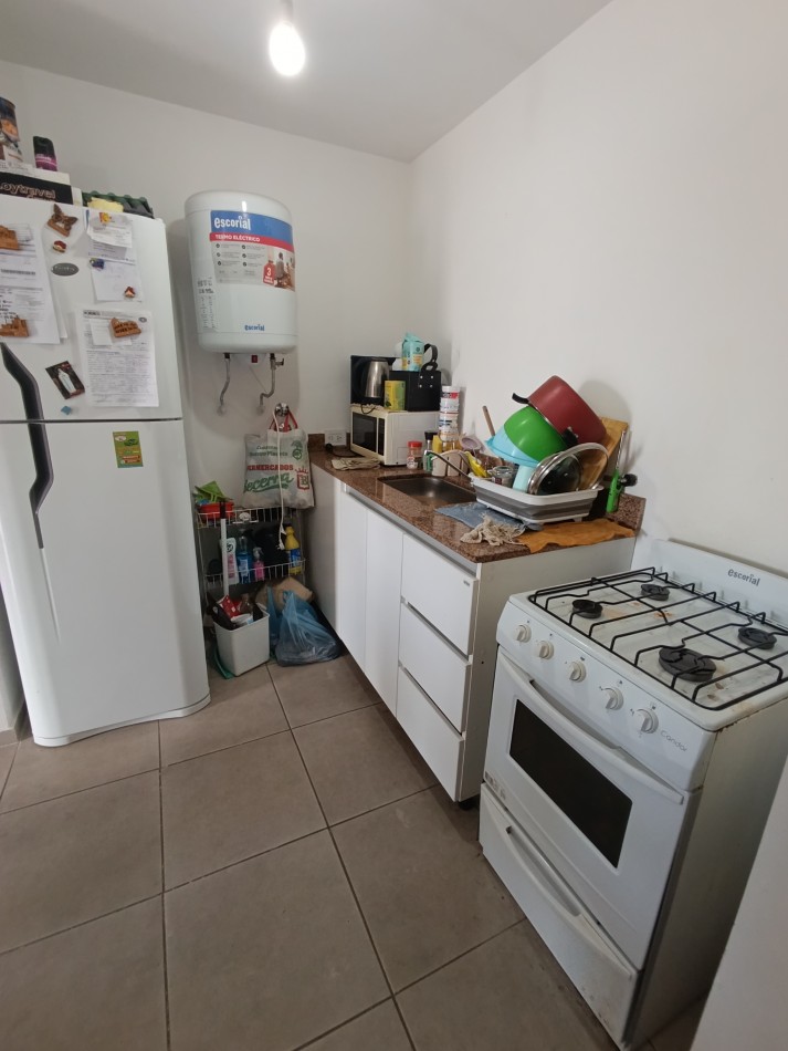 Oportunidad, dpt 1 D Alberdi.