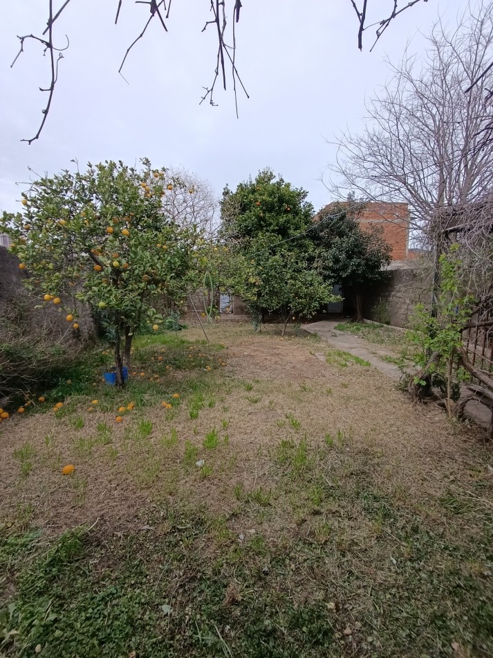 Oportunidad! Casa en venta 2d Matienzo. Amplia